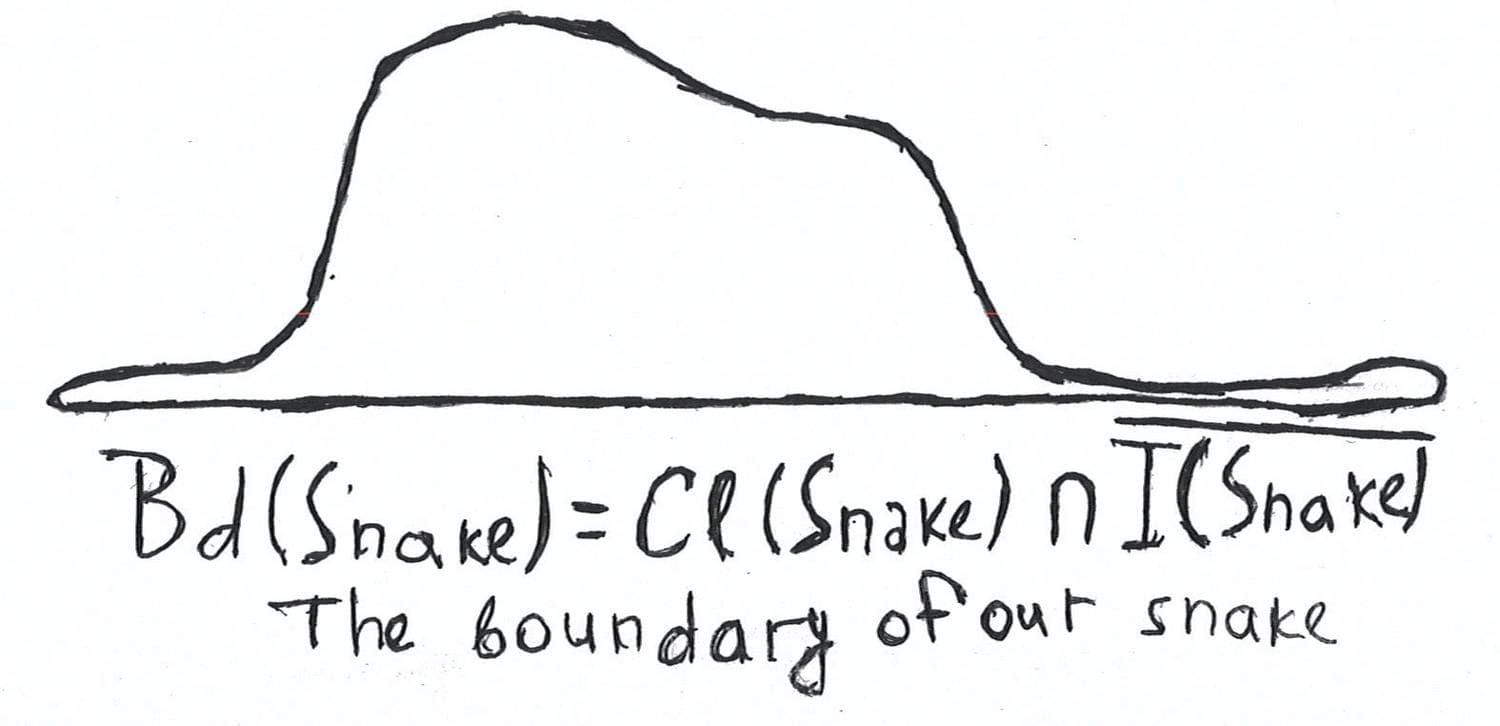 The boundary of the snake